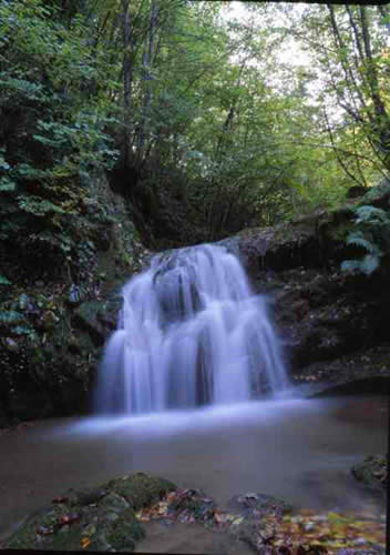 Un torrente nel Parco Faunistico